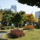 소용공원 이미지
