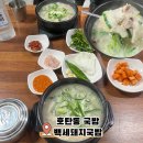 진주 호탄동 고기순대내장 다 맛있는 국밥 맛집 백세돼지국밥