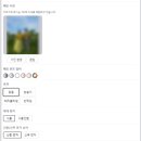 간편하게 커스텀 제작가능한 모바일청첩장 니프티핸즈청첩장 제작 후기