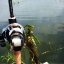 당거리화장실 이미지