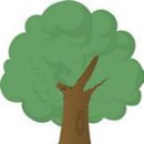 장태산휴양림 이미지