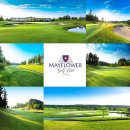 숲속골프 이미지