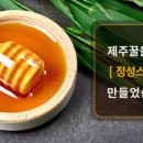 제주벌꿀영농조합법인 이미지