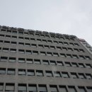 마당깊은집 김원도 이미지