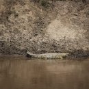 마라천국 이미지