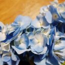 블루아짐 이미지