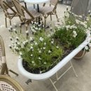 에이미테이블 이미지