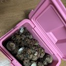 녹우목욕탕 이미지