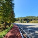 황토랑가든 이미지