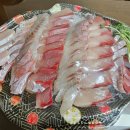 순돌이 회수산 이미지