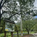 황매산장대 | 경남 산청 웅석봉(2024.09.23)