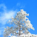 도봉-도봉-2065 이미지