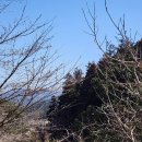 통나무펜션&편백쉼터 이미지