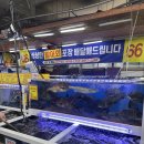 활어회포장 이미지