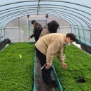 영양군농업기술센터 이미지