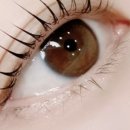 유니뷰티 이미지