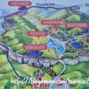 우암산등산로1 | 청주 등산 코스 추천 4곳 직접 다녀온 트래킹 명소