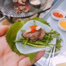 주남오리알 이미지