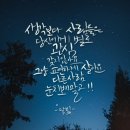 늘바다회센타 이미지