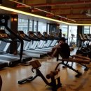 몸스타휘트니스 이미지