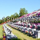 그린장묘 - 유성구 계룡로88번길 55 | 그린장묘