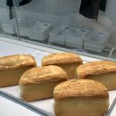 쉽게 배우는 제과제빵 | 베이킹 처음인데 어디서 시작하지? 금정제과제빵학원에서 초보도 쉽게 배우는 제빵·제과