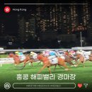 해피밸리 | 홍콩 경마장 해피밸리 배팅하는 방법과 후기