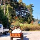 심곡정미소 이미지