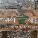 매지유아숲체험원 이미지