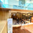 강남-230 이미지