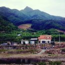 삼이네 펜션 이미지