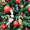 (주)코리아세븐 원주흥업점 | 연차를 알차게-아침강아지산책 흥업반려견 쉼터 + 이케아기흥 방문+ 코스트코 공세점(1)