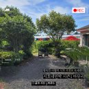 지호민박 이미지