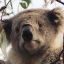 전남외국어고등학교 이미지