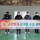 해담영농조합법인 이미지