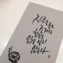 진주품은조개