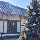 대소고택 | 안성 한옥카페 대소고택 크리스마스 포토존 아이랑 방문 후기