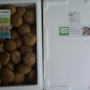 선우농장3 이미지
