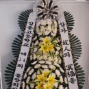 무주읍142 Daum카페