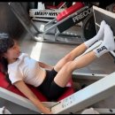 골든몽키짐 플래티넘 sky 이미지