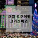 12월 호주여행 - 캉가루포인트, 브리즈번 크리스마스 행사
