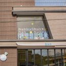 피치비치 이미지