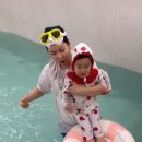 파티올리