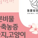 동물병원예지 네이버블로그