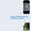 비밍모어플라워