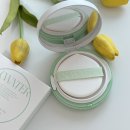 케이제이파트너스 - 군산시 양안로 75-7 | [톤업쿠션] 보습+자외선차단+톤업 하나로 끝! :: 노워터 티트리 데이데이 톤업 선쿠션 신제품 사용 후기
