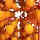 성준농장 이미지