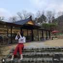 예이제448 이미지