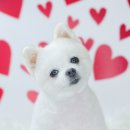 산호동457 이미지