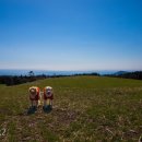 사랑마음이네 이미지